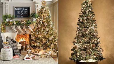 Photo of Идеи для украшения елки