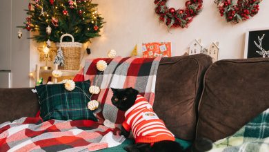 Photo of Создание атмосферы праздника