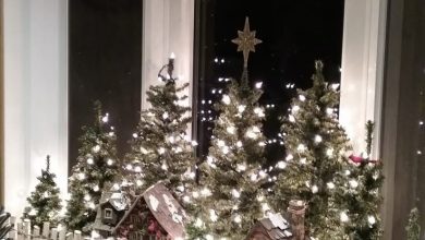 Photo of Лучшие идеи для новогоднего декора